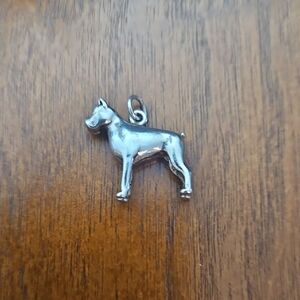 SILVER BOXER CHARM